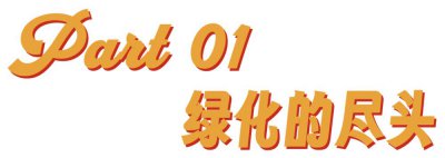 ​为什么公园越来越“荒”了？