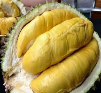 ​买榴莲时不知道咋挑选？掌握这些后，轻松挑到香甜好吃的榴莲！