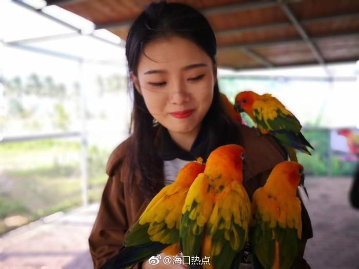  一起走进了神秘的海口天鹅湖动物园