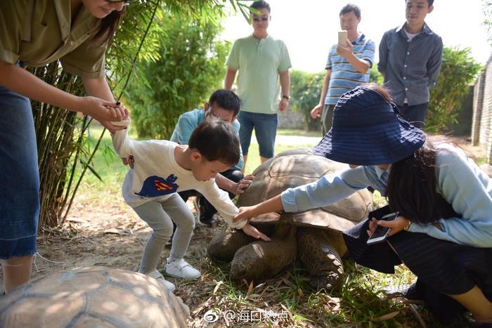  一起走进了神秘的海口天鹅湖动物园