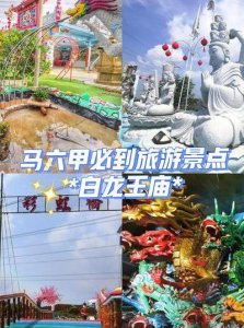 ​泰国白龙王庙（泰国白龙王庙地址在哪里）