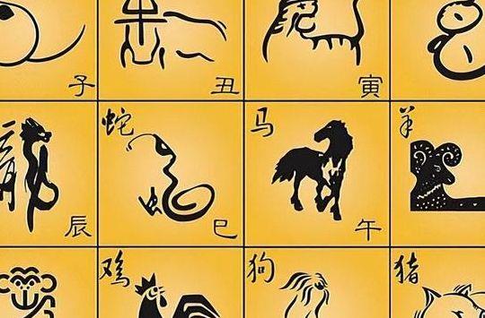 根深蒂固打一个生肖（根深蒂固打一个生肖动物）
