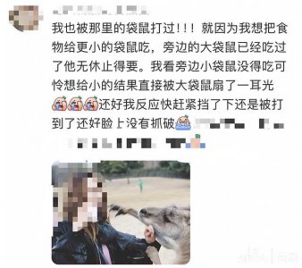 ​事发上海野生动物园！游客爆料：被袋鼠打伤；网友：我也被揍过