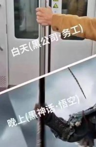 ​“怪不得黑神话悟空在这取景”，第一批去山西“文化苦旅”的打工人已累成吗喽
