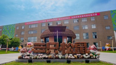 ​对话三只松鼠CIO：重回百亿背后的数字化支撑