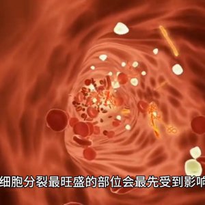 ​核辐射会对人体造成哪些危害？