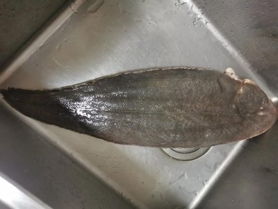 ​红烧龙利鱼