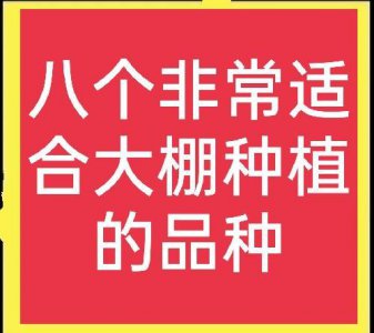 ​大棚种植什么能赚钱？推荐八个高利润品种，想赚钱的过来看