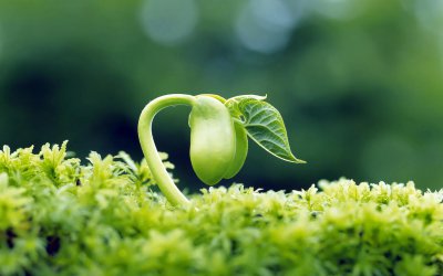 ​如果生命真的可以回到从前，你会不会后悔此生的选择？
