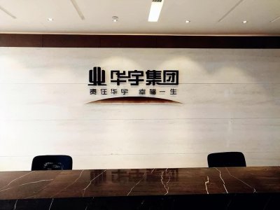 ​重庆华宇集团蒋宇是创始人儿子 他家是房地产富豪拥有财富255亿