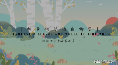 ​体型迷你却具备高级感，浑身金黄的龟甲虫，你见过吗