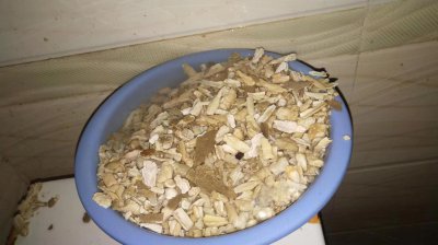 ​刚开年就遇到两个师傅把电热水器清洗报废了 这行业太乱了