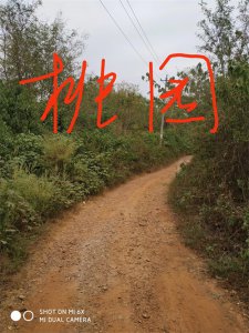 ​豹澥西边湖的那些事儿