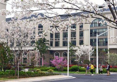 ​盘点在各省招生的本二外语类院校名单，附历年分数及排名