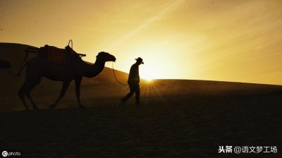 ​人生哲理经典语录99句：善良不是夜色里的松明，却总能把前途照亮