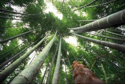 ​五一山东旅游攻略 亲子游乡村游看海登山文化游都在这