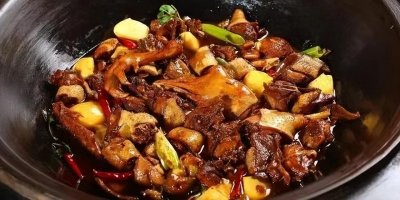 ​老东北出了名的10道炖菜，鸡鸭鱼肉，每一道都是人们的心头爱
