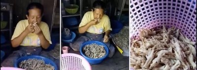 ​近日工人用嘴啃无骨鸡爪黑作坊曝光，网友庆幸我穷买不起无骨鸡爪
