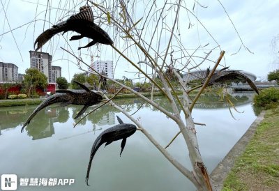 ​福州内河惊现外来物种“清道夫”！被树枝“穿喉”