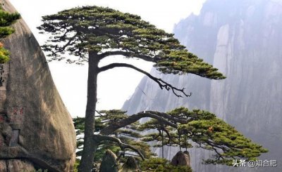 ​中国旅游名城黄山，有哪些特产？
