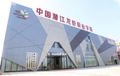 ​【中国那些事儿】职业教育不再“低人一等” 网友：这个专业我能读到博士后