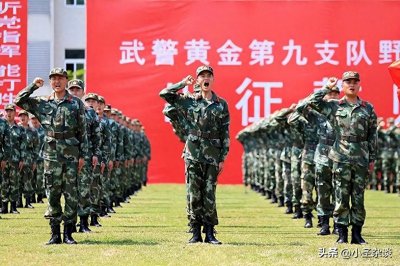 ​武警黄金部队退役转制后，组建为4个正厅级、10个正处级事业单位