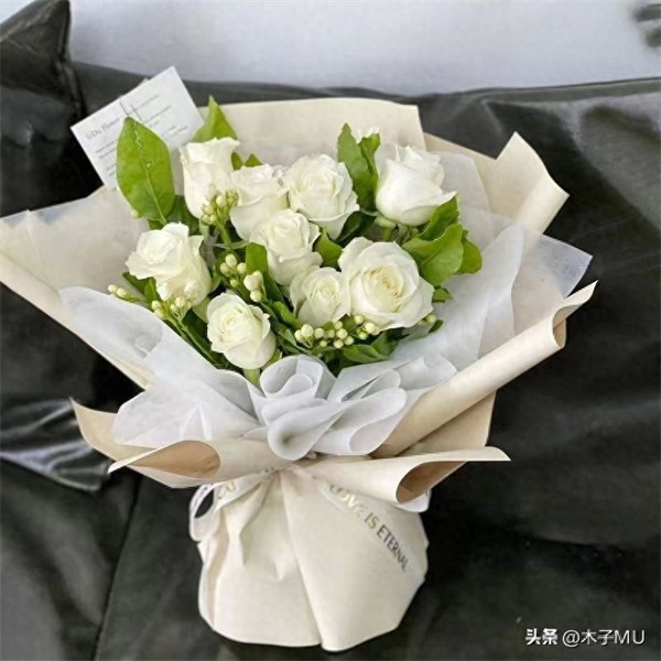 白玫瑰送什么人合适(送女孩子白玫瑰好不好)