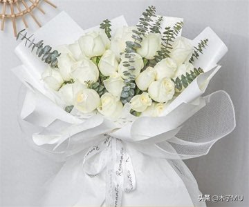 ​白玫瑰送什么人合适(送女孩子白玫瑰好不好)