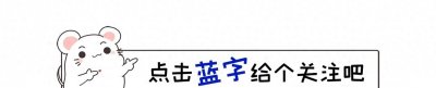 ​凯渥模特经纪公司：成就台湾十大名模的时尚梦工厂