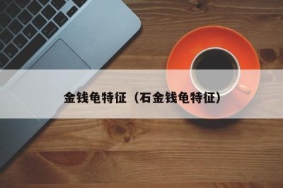 ​金钱龟特征（石金钱龟特征）