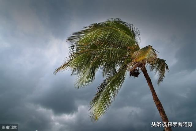 台风整个形成过程（台风的形成过程以及旋转的秘密）(2)