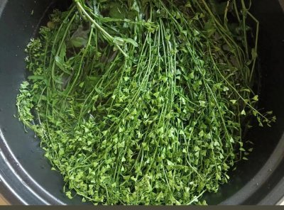 ​三月三必吃！荠菜煮鸡蛋的3大功效