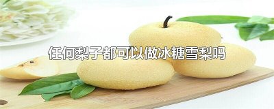 ​任何梨子都可以做冰糖雪梨吗