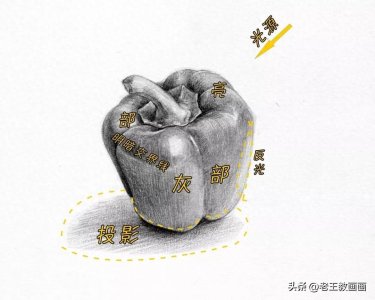​零基础也能画素描，教你画青椒