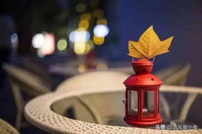 ​真正聪明的人，往往都很会装傻!