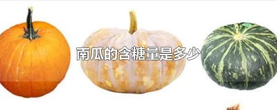 ​南瓜的含糖量是多少