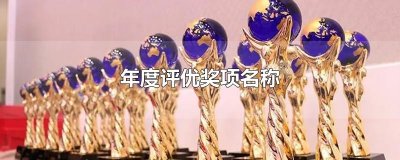 ​年度评优奖项名称