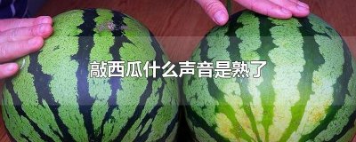 ​敲西瓜什么声音是熟了