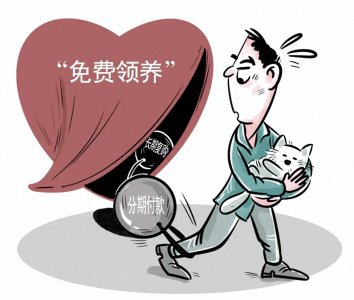 ​宠物“免费领养”背后究竟多少“坑”等着你