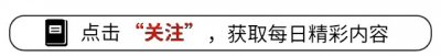​摄影入门基础大总结，看完你也是大师