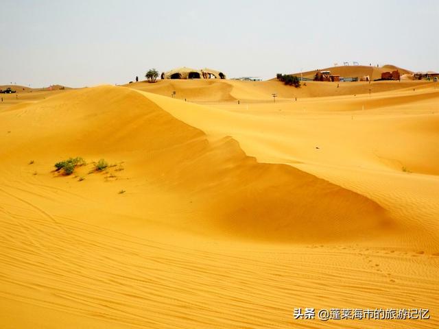 宁夏沙坡头游玩攻略路线（畅游宁夏沙坡头）(36)