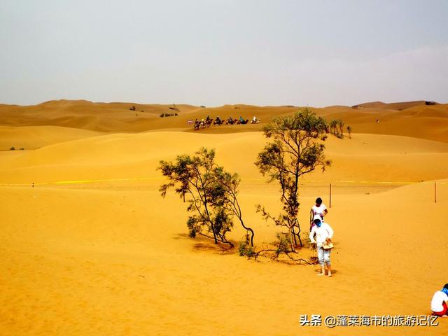 宁夏沙坡头游玩攻略路线（畅游宁夏沙坡头）(32)