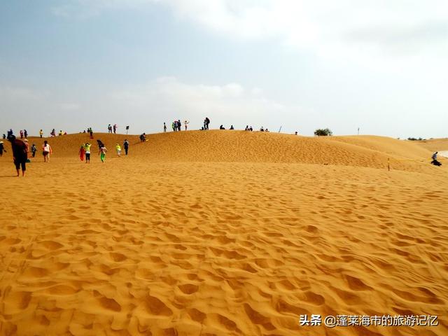 宁夏沙坡头游玩攻略路线（畅游宁夏沙坡头）(37)