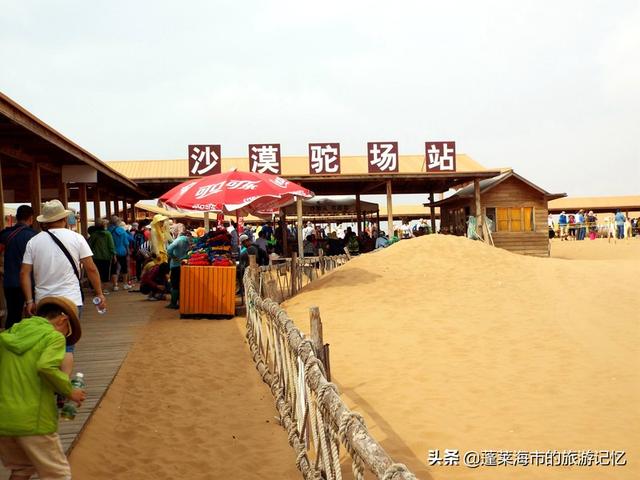 宁夏沙坡头游玩攻略路线（畅游宁夏沙坡头）(33)