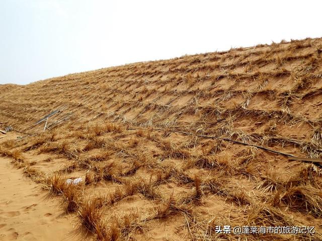 宁夏沙坡头游玩攻略路线（畅游宁夏沙坡头）(26)
