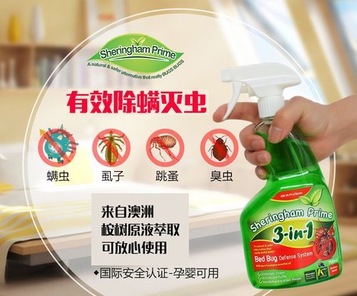 家里床上有臭虫怎么办