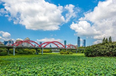 ​深圳最值得去的公园有哪些