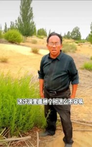 ​孙国友荒漠沙地种植商品树，博眼球还是固沙防风？
