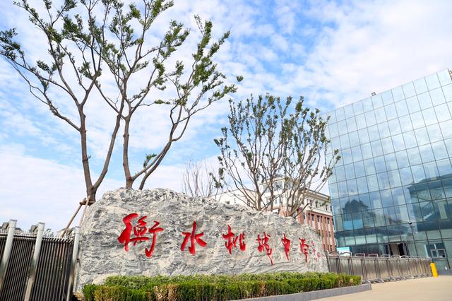 衡水五中高中部是公立还是私立的（衡水五中高中部）(3)