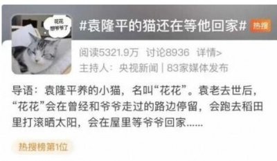 ​袁花花在等爷爷回家（袁隆平的猫还在等他回家，网友看后破防了……）